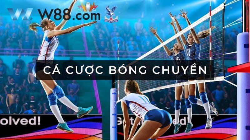 cá cược bóng chuyền W88 cá cược bóng chuyền W88