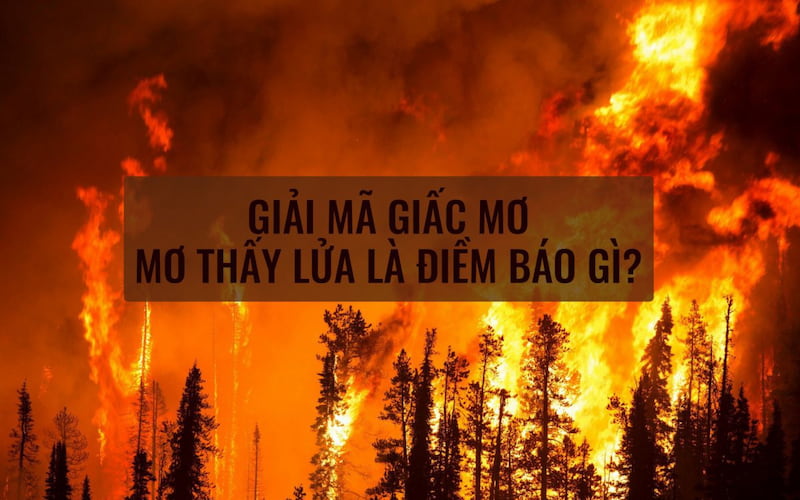 Mơ thấy bếp lửa cháy đánh con gì