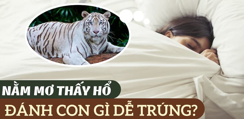 nằm mơ thấy hổ đánh con gì