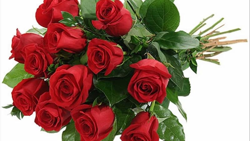 nằm mơ thấy hoa đánh con gì Chiêm bao thấy bản thân được tặng hoa